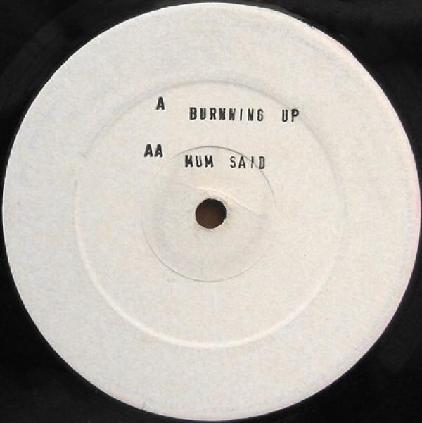 2 White Boys - Burning Up / Mum Said