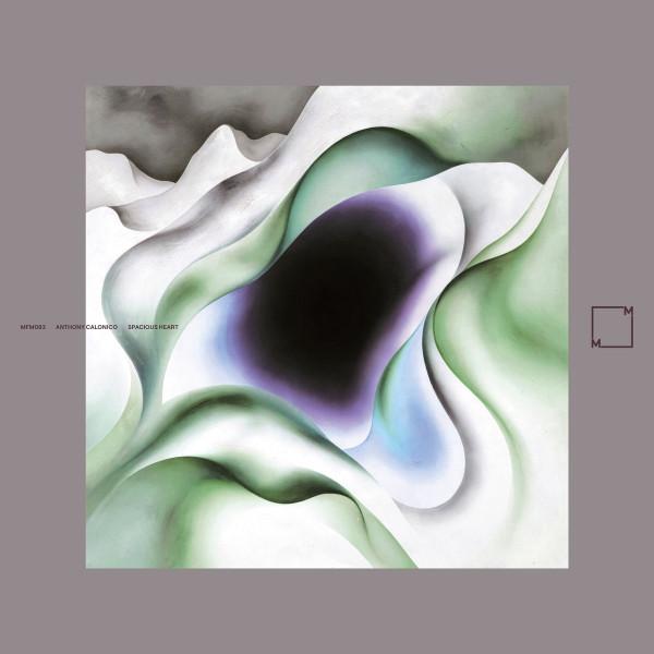 Anthony Calonico - Spacious Heart