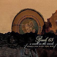 Buck 65 - Wicked And Weird