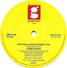 Cicero Blake - How Can I Go On Without You