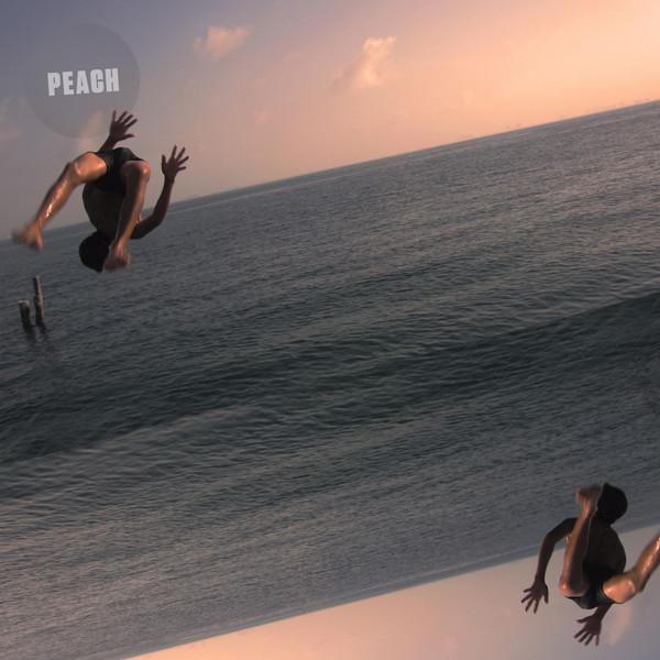 Cromie, Sage Caswell - Vines / Pyrex