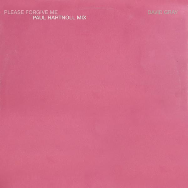 David Gray - Please Forgive Me (Paul Hartnoll Mix)