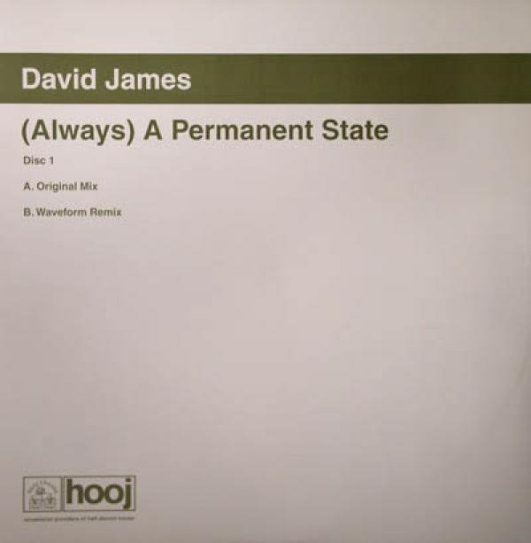 David James - (Always) A Permanent State