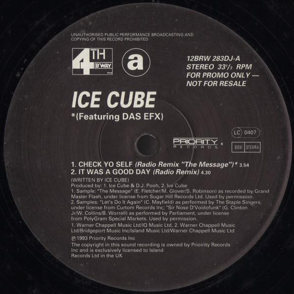 Ice Cube - Check Yo Self