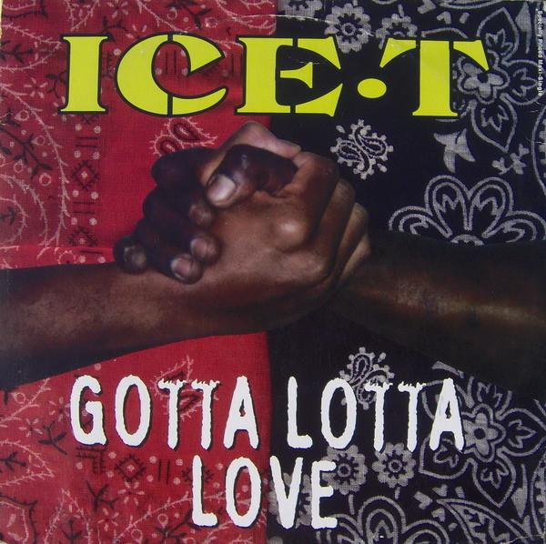 Ice-T - Gotta Lotta Love