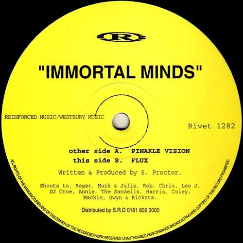 Immortal Minds - Pinakle Vision / Flux