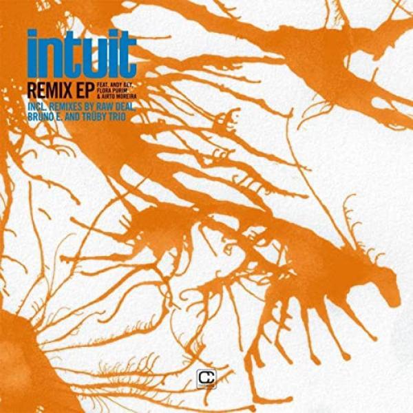 Intuit - Remix EP