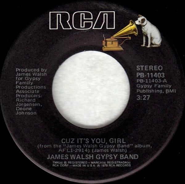 James Walsh Gypsy Band - Cuz It's You, Girl