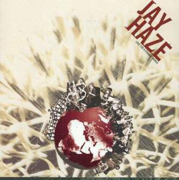 Jay Haze - Love For A Strange World
