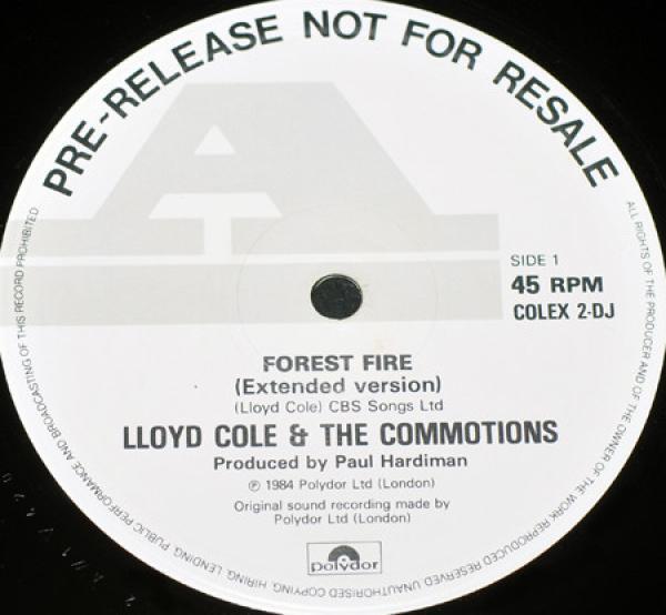 Lloyd Cole & The Commotions - Forest Fire