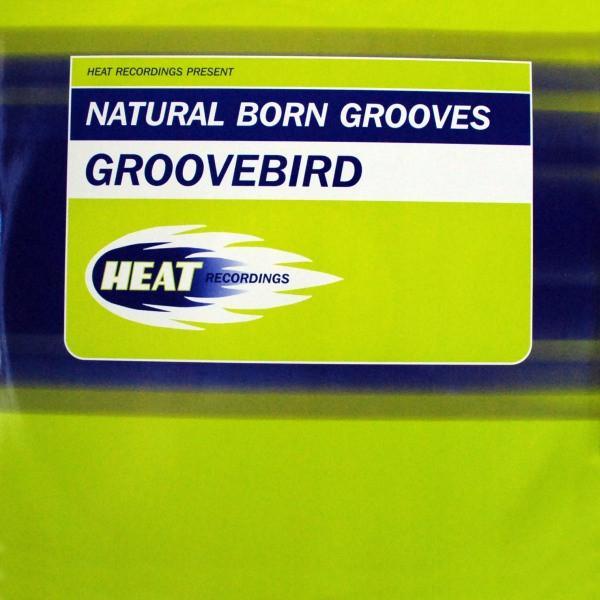 Natural Born Grooves - Groovebird