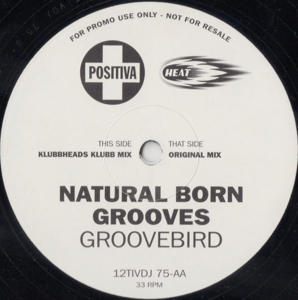 Natural Born Grooves - Groovebird