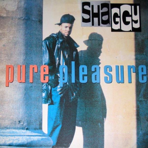 Shaggy - Pure Pleasure