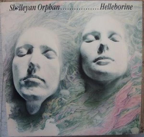 Shelleyan Orphan - Helleborine
