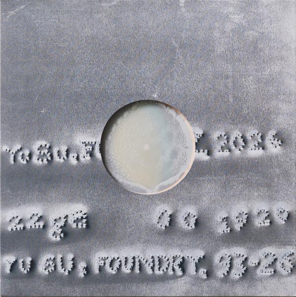 Yu Su - Foundry